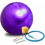 Aiducho - Balles d'exercices Fitness, éclatement et Anti-dérapant Ballon de Gymnastique Yoga Ball, Diamètre Disponible 55cm, Violet