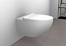 WC suspendu sans rebord, abattant avec mécanisme de fermeture douce, Blanc mat, 36,5x32x57,5 (LxHxP), E-9030