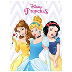 Pyramid International Disney Princess (Belle, Cinderella and Snow White) -Canvas Print 30 x 40cm, Wood, Multi-Colour, 30 x 40 x 1.3 cm