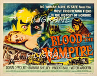 BLOOD of the VAMPIRE FILM Rzyb - POSTER HQ 40x60cm d'une AFFICHE CINéMA