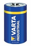 VARTA Batterie Alkaline  Mono  F-FEEDS