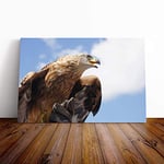 Big Box Art Canvas Print Wall Art Golden Eagle Bird | Mounted and Stretched Box Frame Picture | Home Decor for Kitchen, Living, Dining Room, Bedroom, Hallway, Multi-Colour, 24x16 Inch