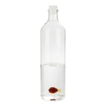 Balvi Atlantis Globefish 1.2l Flaska