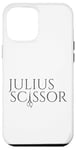 iPhone 12 Pro Max Hair Stylist Hairdresser Julius Scissor Case