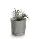 Botle Pot De Fleur Rond Gris Clair Plastique Beton Effect Cache Pot 17,5 Cm Decoratif Bac A Plantes Avec Soucoupe Fleurs