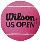 Wilson Balle de Tennis, US Open 5 Mini Jumbo, Rose, 12 cm, Gros Calibre, Idéale en Décoration ou pour Signer des Autographes, WRT1415PKXB