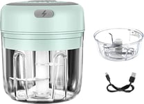 2P Mini Food Chopper Electric Small Kitchen Food Processor Blender 250ML & 100M