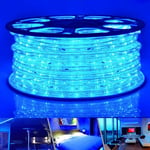 Tube Lumineux Extérieur led Guirlande Lumineuse Décoration et Adapteur d'alimentation Bleu-30M - Vingo