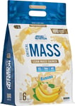 Applied Nutrition Critical Mass Professional - Weight Gain Protein Powder, High