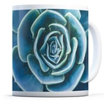 Blue Cactus Flower - Drinks Mug Cup Kitchen Birthday Office Fun Gift #14419