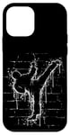 Coque pour iPhone 12 mini Martial Street Art Fighter Side-Kick Roundhouse TaeKwonDo