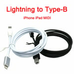 Lightning To Type-b Converter Usb 2.0 Cable For Iphone Ipad Midi Keyboard Organ