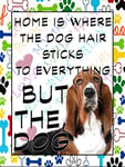 Shawprint Basset Hound Dog Fridge Magnet 100mm x 75mm HOME IS WHERE THE DOG HAIR STICKS TO EVERYTHING BUT THE DOG NOVELTY GIFT