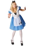 Alice In Wonderland Disney Fairytale Story Book Week Adult Womens Costume