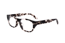 Lunettes de Vue Moncler ML5158-D 055 COLOURED HAVANA 53/19/145 Homme