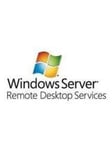 Microsoft Windows Remote Desktop Service