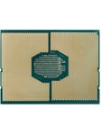 HP Intel Xeon Gold 6244 / 3.6 GHz processor CPU - 8 kerner - 3.6 GHz - Intel LGA3647