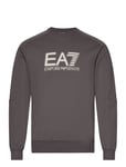 EA7 Sweatshirt Brun