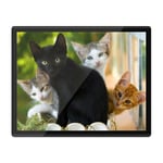 Placemat Mousemat 8x10 - Cute Kittens Black Tabby Ginger Cat  #24573