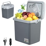 WOLTU Mini Frigo, Glacière Électrique, Mini Réfrigérateur Portable, Glacière pour Auto, 22 L, Garder au Chaud/Froid pour Voiture, Camping, Bateau, DC 12V & AC 220V, Gris, KUE008dgr