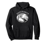 Ernest Shackleton His Ship The Endurance trapped in the ice Pullover Hoodie