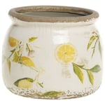 Chic Antique Denmark Limone Kruka Citronmotiv Créme Stor