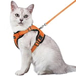 rabbitgoo Harnais Chat Anti évasion avec Laisse Orange M, Harnais Chaton Petit Chien Réglable, Collier Harnais et Laisses pour Chat Refléchissant Attache Dessus Gilet Respirant pour Lapin Chat Chiot