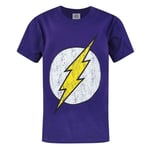 DC Comics Boys The Flash Distressed Logo T-Shirt