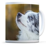 Cute Blue Eyed Puppy - Drinks Mug Cup Kitchen Birthday Office Fun Gift #8619