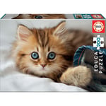 Puzzle - 200 pièces - Chat - Chaton - Dès 6 ans - Educa