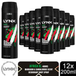 Lynx XL Africa Body Spray 48H Fresh Mandarin & Sandalwood Scent Deo, 12x200ml