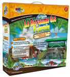 BSM Sciences - Ws/22 - Jeu Éducatif et Scientifique - Le Royaume des Fourmis