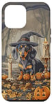 iPhone 14 Pro Max Funny Blue and Tan Dachshund Dog Witch Hat Halloween Men Case