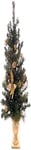 WeRChristmas 3.5 ft Pre-Lit Potted Decorated Christmas Tree with 42-LED Lights, Gold