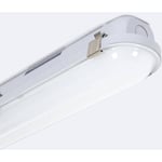 Ledkia - Réglette Étanche led 120 cm 36W Dimmable dali IP65 Blanc neutre 4000K