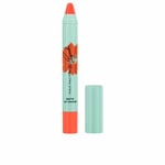 Läppstift Max Factor PRYANKA Orange 004-orange grace 1,8 g