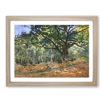 The Bodmer Oak Tree By Claude Monet Classic Painting Framed Wall Art Print, Ready to Hang Picture for Living Room Bedroom Home Office Décor, Oak A2 (64 x 46 cm)