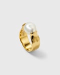 Syster P Paxton Ring Guld 18 mm