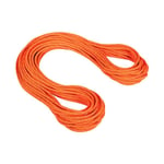 Mammut 9.8 Crag Dry Rope 60 M