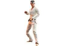 COBRA KAI SERIES 1 DANIEL LaRUSSO 7" DELUXE ACTION FIGURE DIAMOND SELECT TOYS