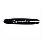 Greenworks 29577 Tools Saber for Chainsaw (25 cm Bar Suitable for Chainsaws of the 24 V Series)