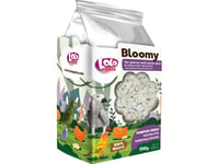 Bloomy Pumpkin Seeds For Parrots And Exotic Birds 150G