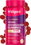 Wellgard High Strength Vitamin D3 Gummies - 60 Vegan Immunity Vitamin D Gummies