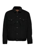 Type 3 Sherpa Trucker Berk She Black LEVI´S Men