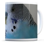 Pretty Blue Budgie - Drinks Mug Cup Kitchen Birthday Office Fun Gift #14623