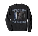 Pesto The Penguin Pesto Cute Big Fat Penguin Sweatshirt