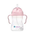 b.box Tasse d'Apprentissage Bébé | Pour Boire Quel que Soit l'Angle | Couvercle Rabattable, Gobelet avec Paille, Prise en Main Facile | Sans BPA, Passe au Lave-Vaisselle | Dès 6 Mois | 240 ml