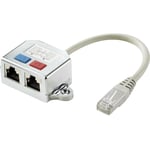 Renkforce - RJ45 réseau informatique Adaptateur en t cat 6 [2x RJ45 femelle - 1x RJ45 mâle] 15.00 cm métal