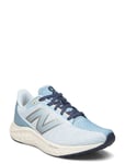 New Balance New Balance Freshfoam Arishi V4 Blå