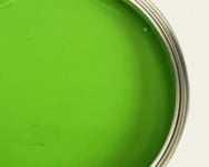 Brilliant Green Paint 5L Gloss Metal Wood Masonry Brick floor fence gate wall